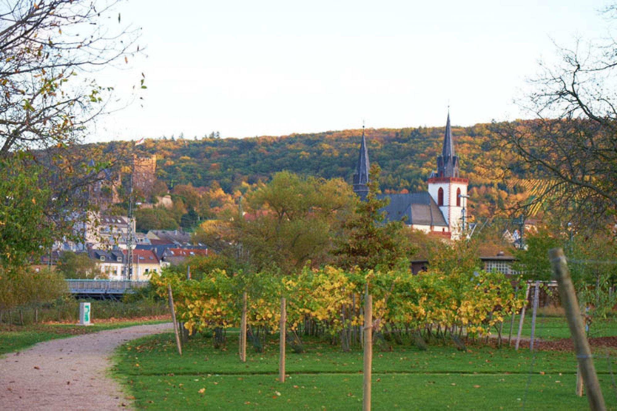 Rechtsanwaltskanzlei Gutmann & Kolleginnen, Bingen am Rhein