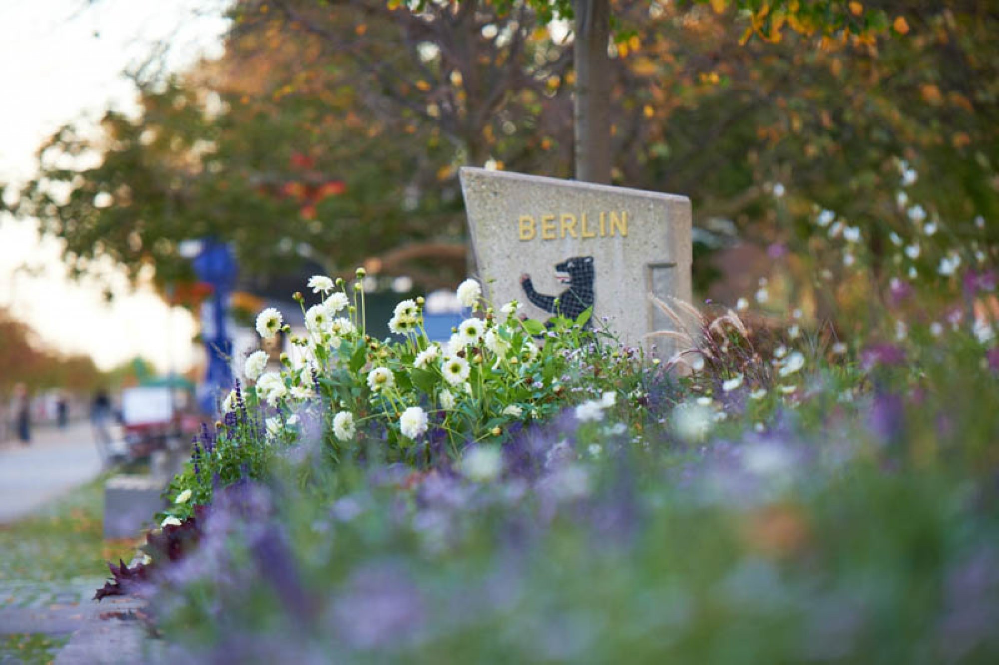 Rechtsanwaltskanzlei Gutmann & Kolleginnen, Bingen am Rhein