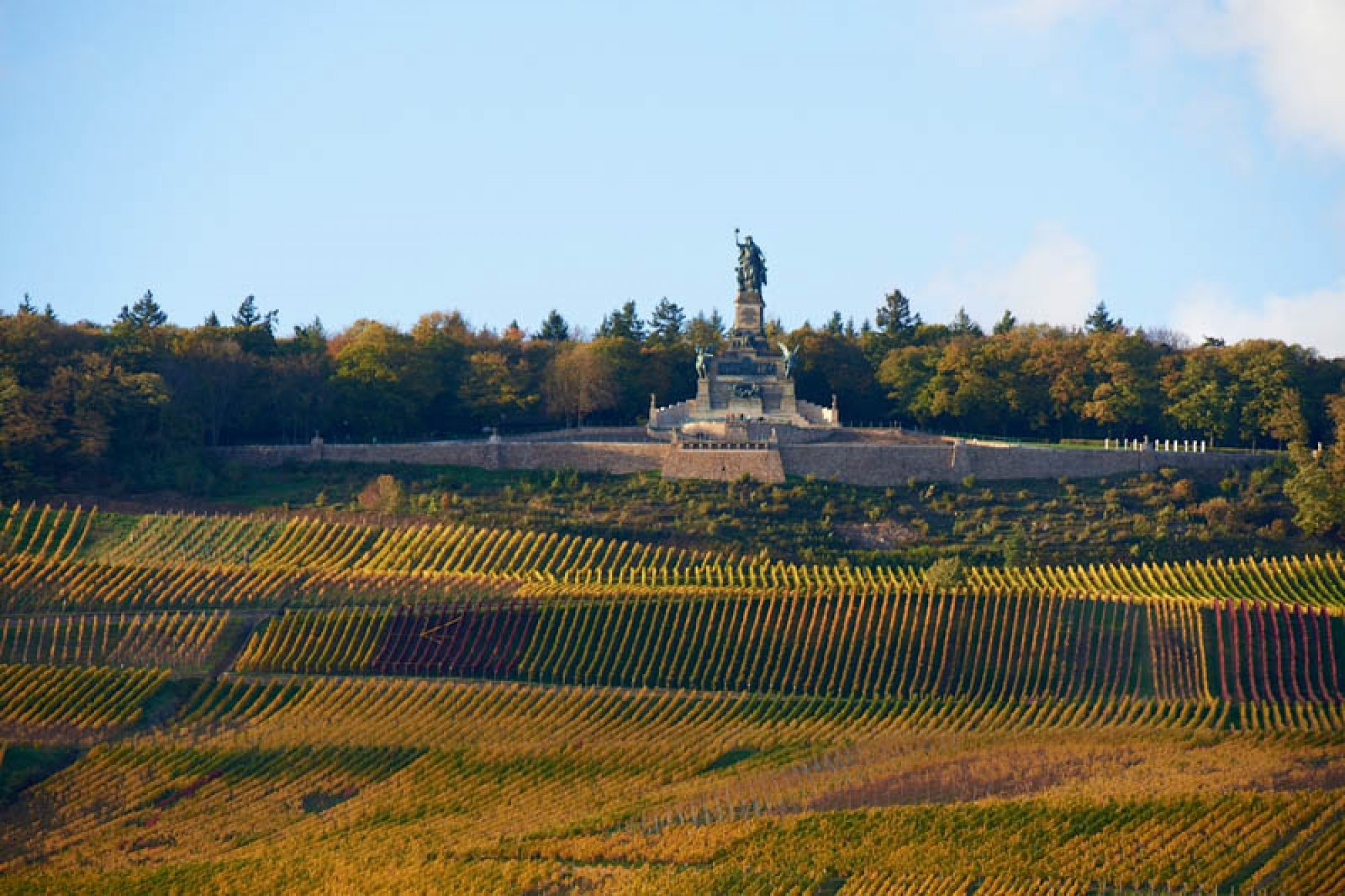 Rechtsanwaltskanzlei Gutmann & Kolleginnen, Bingen am Rhein