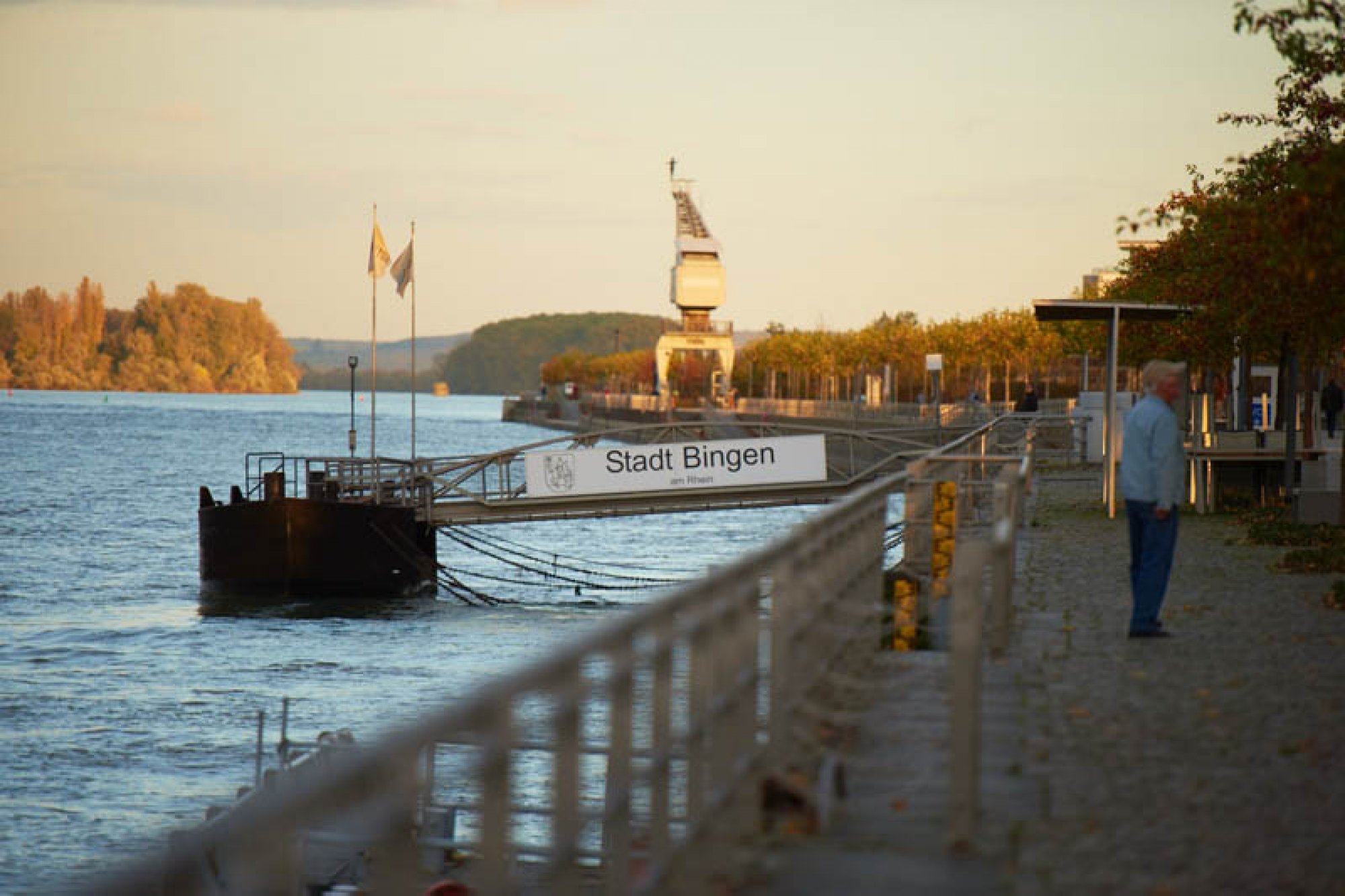 Rechtsanwaltskanzlei Gutmann & Kolleginnen, Bingen am Rhein